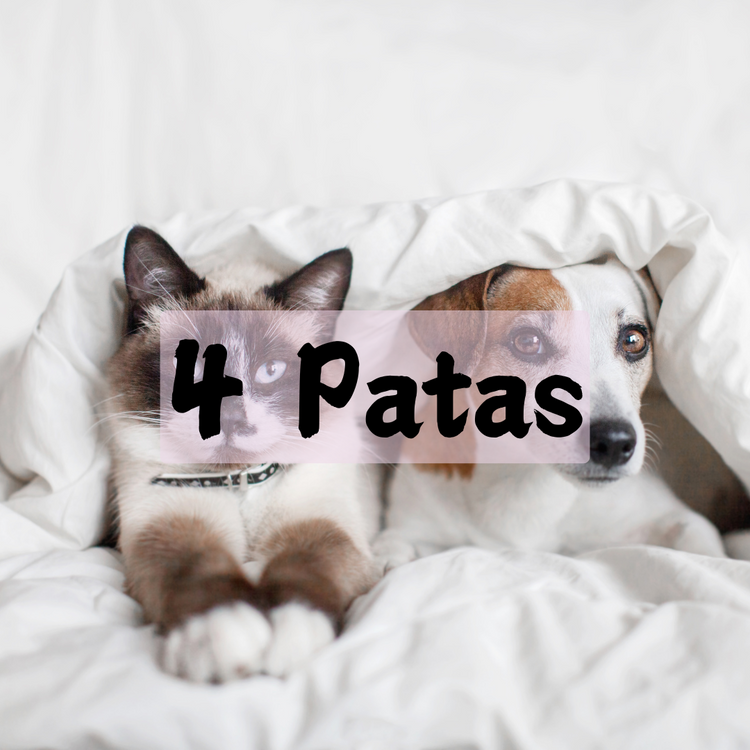 4 Patas